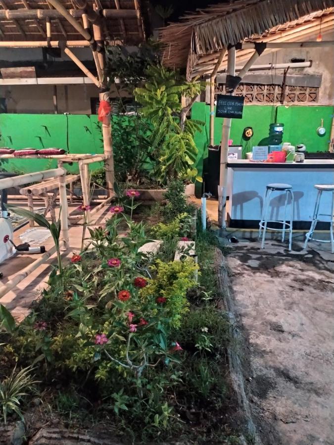 Robiu Homestay Banyuwangi  Luaran gambar